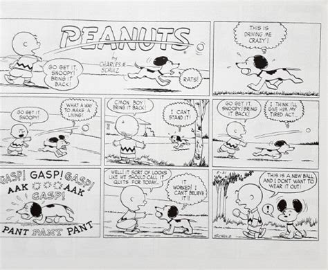 Peanuts Comic Collection If Everybody Agreed With Me They'd All Be Rig ...