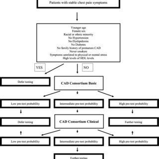Image result for Chest Pain Algorithm