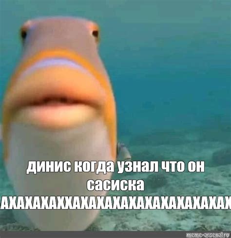 Мем: "рыба, рыба фугу, triggerfish" - Все шаблоны - Meme-arsenal.com