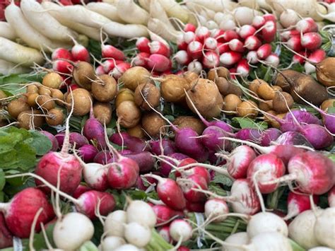 Image result for Valby Farm Design