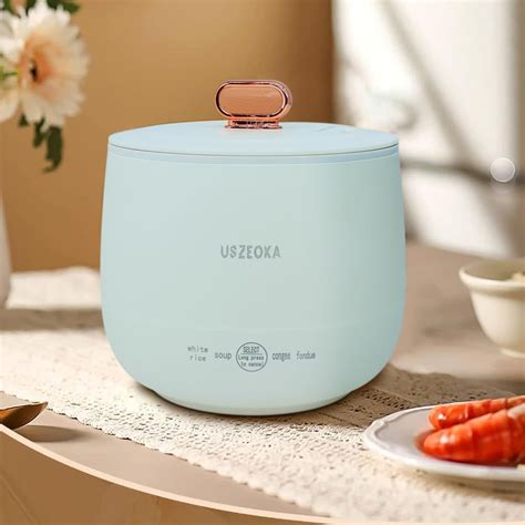 Amazon.com: Portable Mini Rice Cooker 1 Cup, 1.5L Small Non-Stick ...