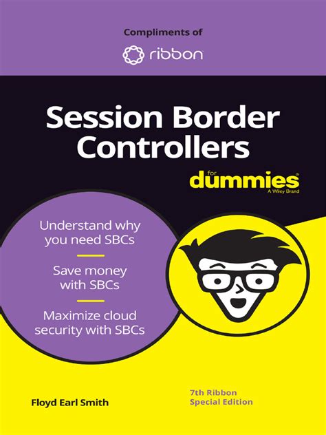 Image result for Border Controller Session Tutorial