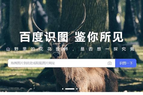 百度搜图 的图像结果