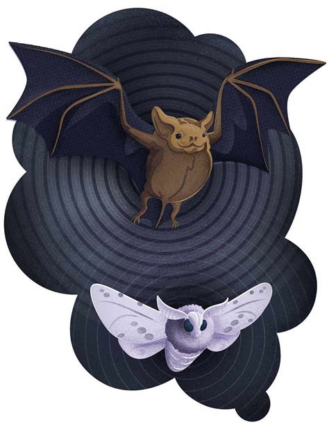 Image result for How Does Echolocation Work