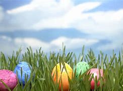 Image result for Spring Easter Photography