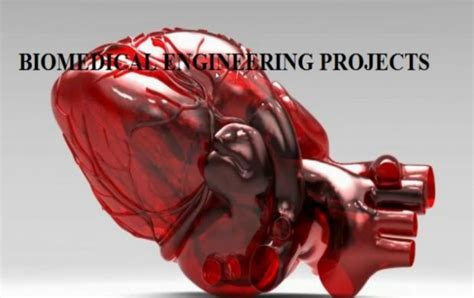 Biomedical Engineering Projects 的图像结果