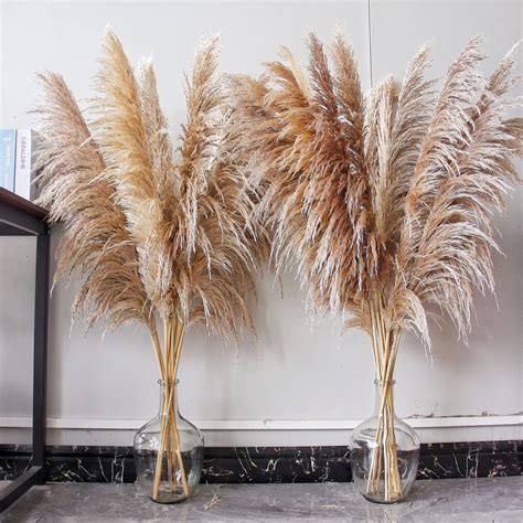 Bannifll 46" inch 10 Stems White Pampas Grass Decor Tall, Dried Plants ...