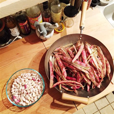 Image result for Shell Beans