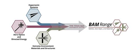 The case of Texas A&M: A university integrated into the military ...