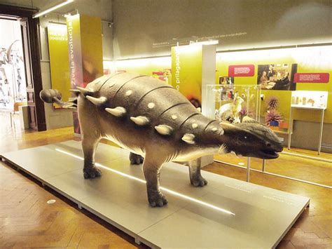 Slovenian Museum of Natural History, ljubljana, Slovenia - Top ...