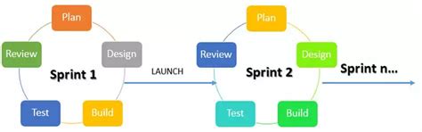 MIS Development Process with SDLC & Agile