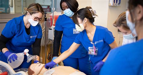 Academic Programs & Pathways - Bellevue College