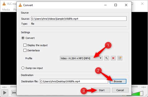 VLC Converter Tutorial 的图像结果