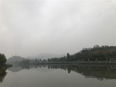 南水北调2018供水年度为河北调水22.3亿立方米——中国新闻网河北
