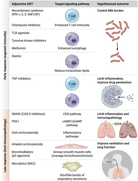 Immunopathology in human tuberculosis | Science Immunology