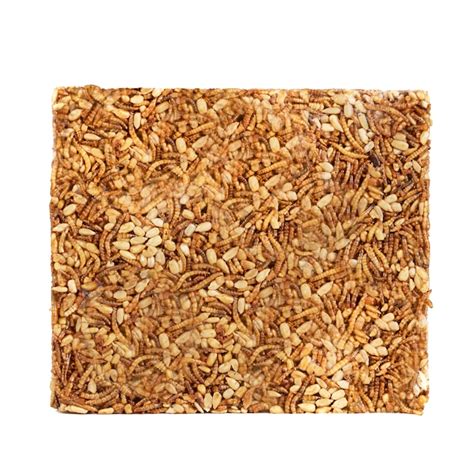 Pecking Order Poultry Mealworm Treat Cake-Block Poultry Treat 20-oz ...