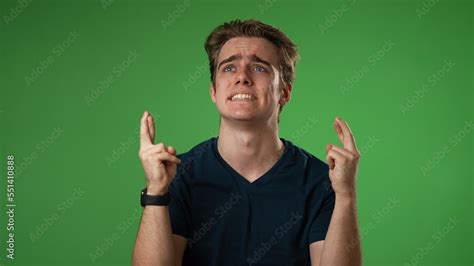 Plead 的图像结果