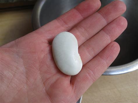 Recipe: Garlicky Fresh Christmas Lima Beans with Thyme - Gardenerd