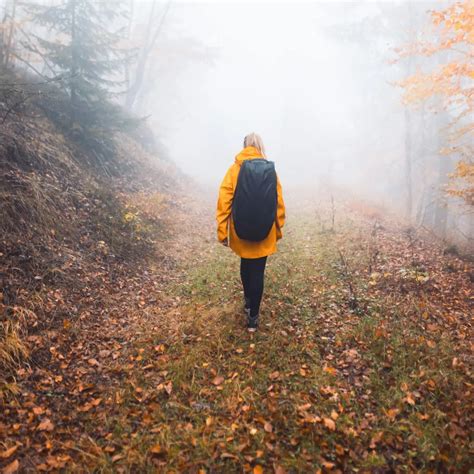 Healing Trauma: Why Your Struggle Is Backed by Science | by Mohandika | bloody sweet writers ...