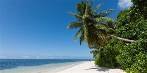 Beach "Anse St Sauveur" Praslin (Seychelles)