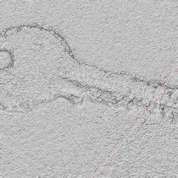 Image result for MeshLab Volume Measurement