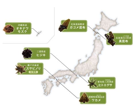 Yazuya A mixture of seven varieties of algae with fucoidan, 93 tablets ...