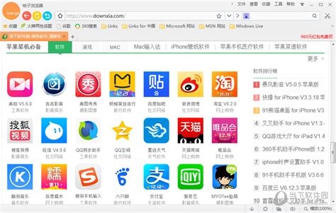 桔子浏览器官方下载-桔子浏览器电脑版免费下载1.0.9.1069-华军软件园