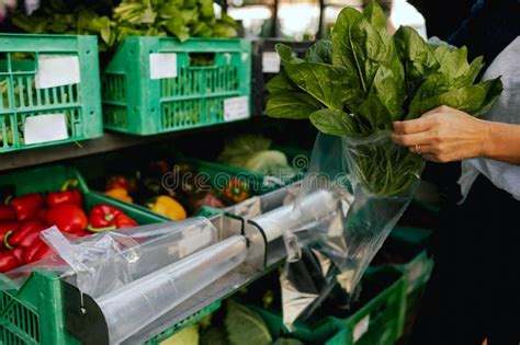 Image result for Local Market