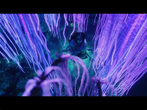 Avatar Python 的图像结果