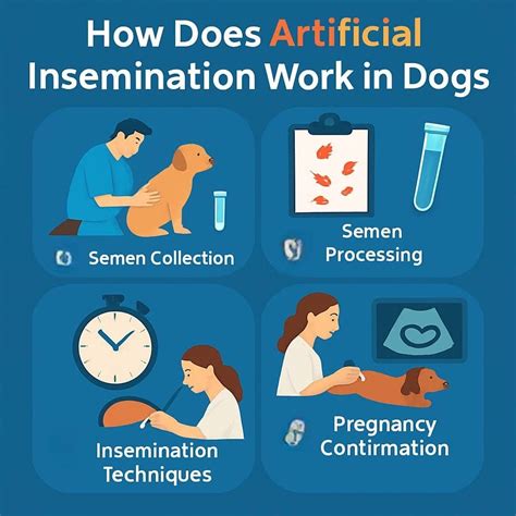 Artificial Insemination in Dogs: Guide to Canine AI