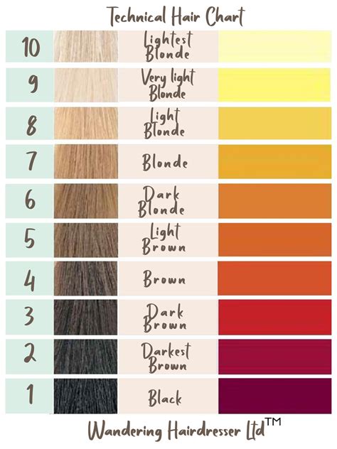 Hair Dye Colour Mixing Chart - Infographic Chart Design