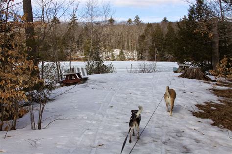 Pleasant Point Park - Buxton, Maine