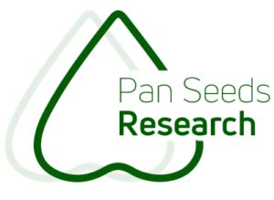 Dedicated Research & Development (R&D) | Pan Seeds