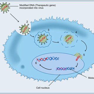 Gene Vector 的图像结果