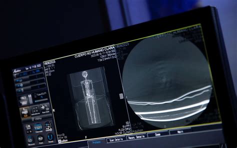 Image result for Alien Inside Female Body