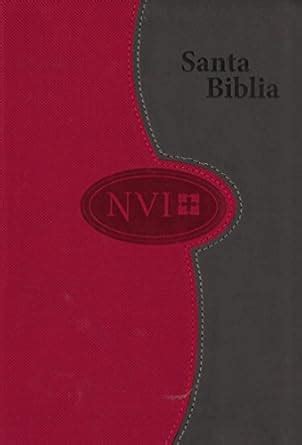Buy Holy Bible: Nueva Version International, Grey/brick, Duotone, Large ...