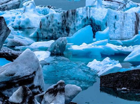 Insight - Dr. Sumi Gupta