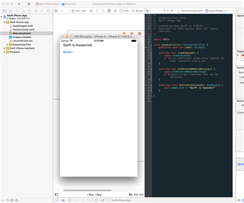 iOS App Tutorial Swift 的图像结果