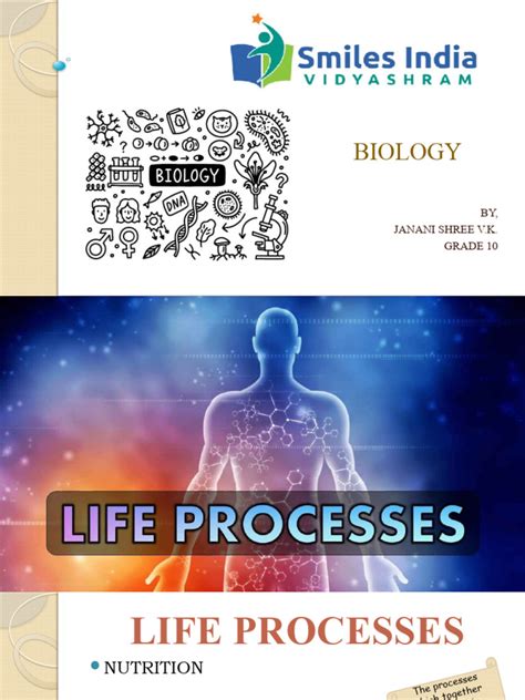 Image result for Life Process Biology