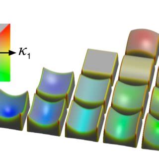 Image result for Lineal Integral Convolution