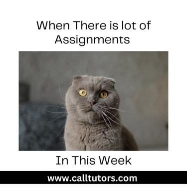 Image result for Assignment Complete Meme