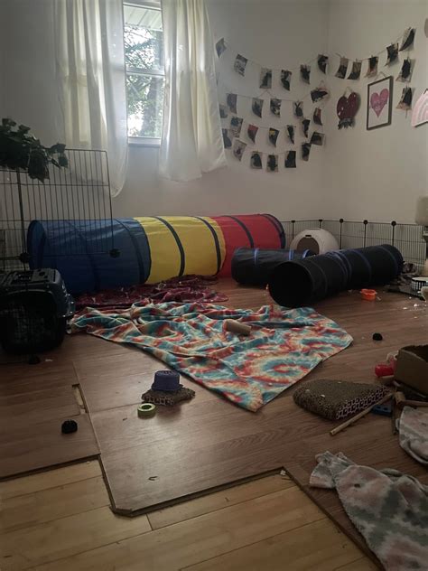 Advice on Disability Friendly Bun Flooring : r/Rabbits