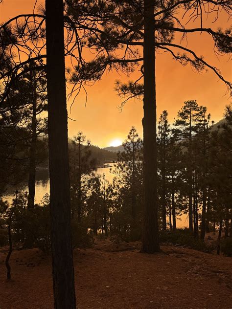 A big thank you to Hodge Patterson and the Board of Directors for the ...