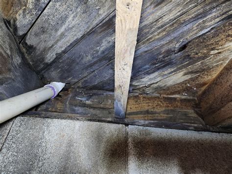 Crawl Space Mold Removal & Prevention Tips | Improve Indoor Air Quality ...