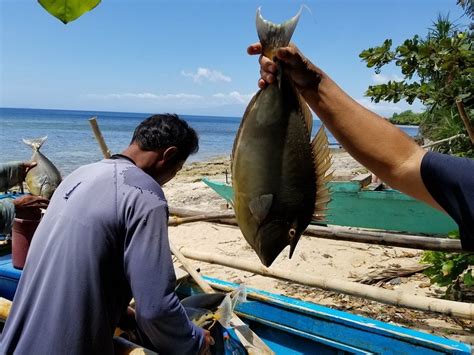 RESIDENCIA DIOSA (Siquijor Island) - Ranch Reviews, Photos, Rate ...