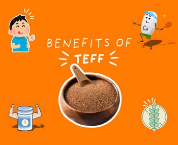 5 Surprising Health Benefits of Teff Grain for Indian Diets – The Drill