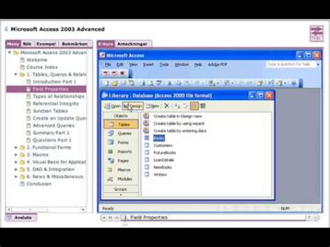 Microsoft Office Access 2003 in a Snap | InformIT