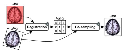 Image result for Workflow of First Level Analysis