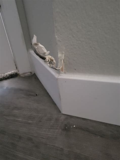 Express Flooring Phoenix Complaints | Floor Roma