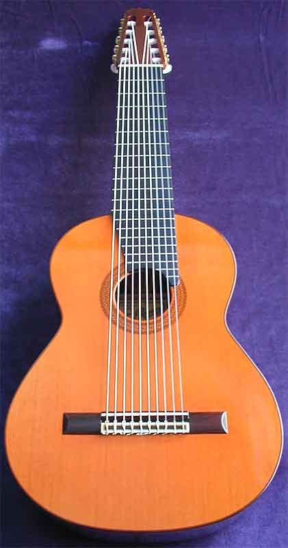 Image result for Ten-String Guitar
